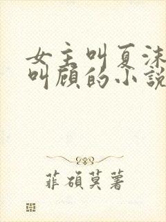 女主叫夏沫男主叫顾的小说