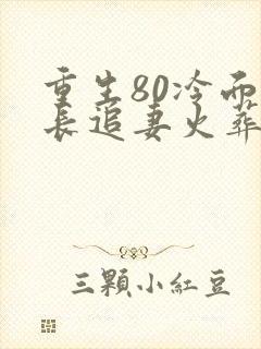 重生80冷面团长追妻火葬场大结局