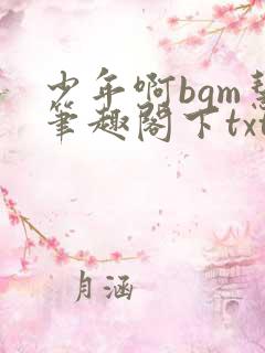 少年啊bgm慧笔趣阁下txt