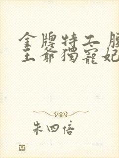 金牌特工 腹黑王爷独宠妃