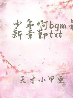 少年啊bgm最新章节txt