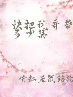 快把我哥带走共多少集
