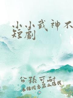 小小武神不好惹短剧