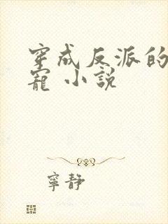 穿成反派的心尖宠 小说