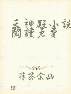 天神殿小说全文阅读免费