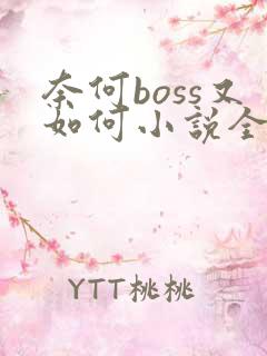 奈何boss又如何小说全文免费阅读