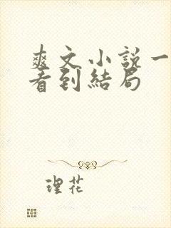 爽文小说一口气看到结局