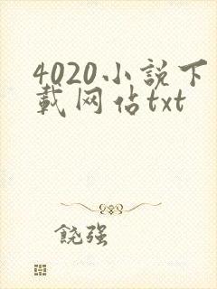 4020小说下载网站txt
