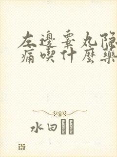 左边睾丸隐隐胀痛吃什么药