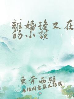 离婚后又在一起的小说