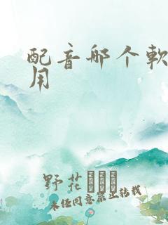 配音哪个软件好用