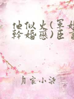 他似火(军婚高干婚恋)臣言最新章节