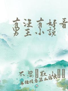 有没有好看的双男主小说