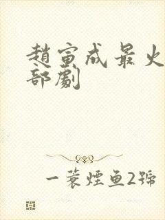 赵寅成最火的十部剧