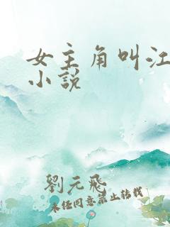 女主角叫江冉的小说