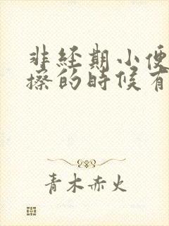 非经期小便完了擦的时候有血