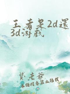 王者是2d还是3d游戏