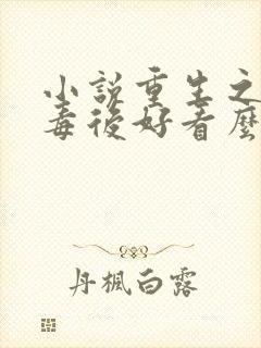 小说重生之将门毒后好看么