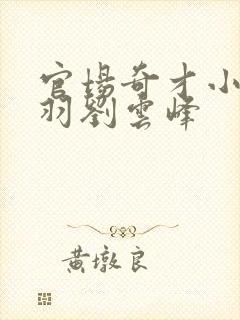 官场奇才小说陆羽刘云峰