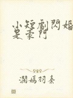 小短剧闪婚老公是豪门