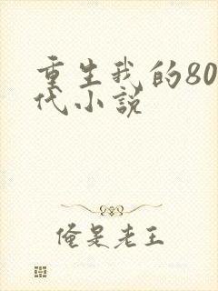 重生我的80年代小说