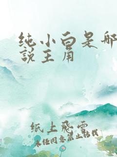 纯小白是哪部小说主角