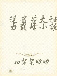 从省府大秘到权力巅峰小说在线阅读