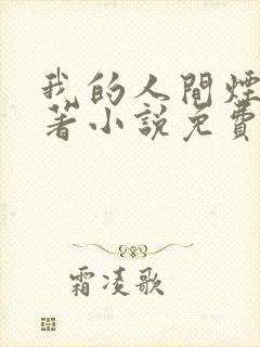 我的人间烟火原著小说免费阅读