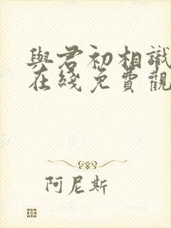 与君初相识全集在线免费观看