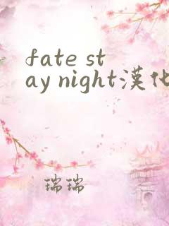 fate stay night汉化版