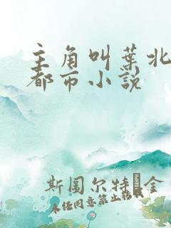 主角叫叶北辰的都市小说