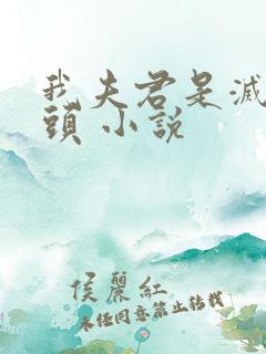 我夫君是灭世魔头 小说