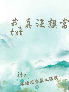 我真没想当反派txt