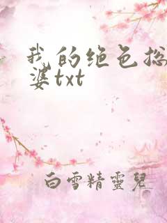我的绝色总裁老婆txt