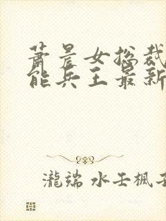 萧晨女总裁的全能兵王最新章节