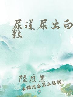 尿道尿出白色颗粒