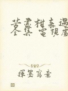 苦尽柑来遇见你全集 电视剧免费观看