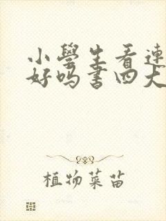 小学生看连环画好吗书四大名著