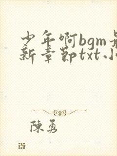 少年啊bgm最新章节txt小说