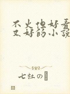 不火但好看文笔又好的小说