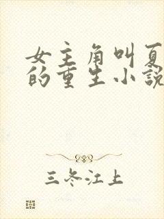 女主角叫夏书瑶的重生小说