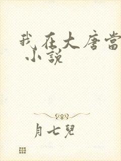 我在大唐当闲王 小说