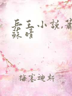 兵王小说,萧晨苏晴