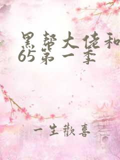 黑帮大佬和我365第一季