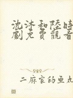 沈沐和陆时宴短剧免费观看