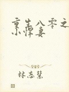 重生八零之家有小悍妻