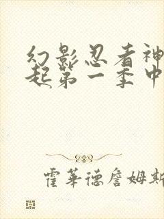 幻影忍者神龙崛起第一季中文版