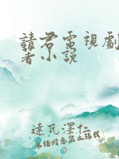 请君电视剧的原著小说