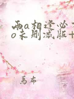 两a相逢必有一o未删减版+番