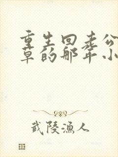 重生回老公当校草的那年小说